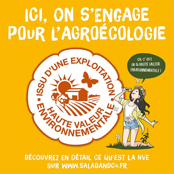 Votre été au B'twin village : concombres HVE