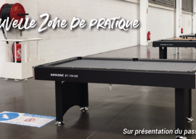 Une petite partie de billard, ça vous tente ?