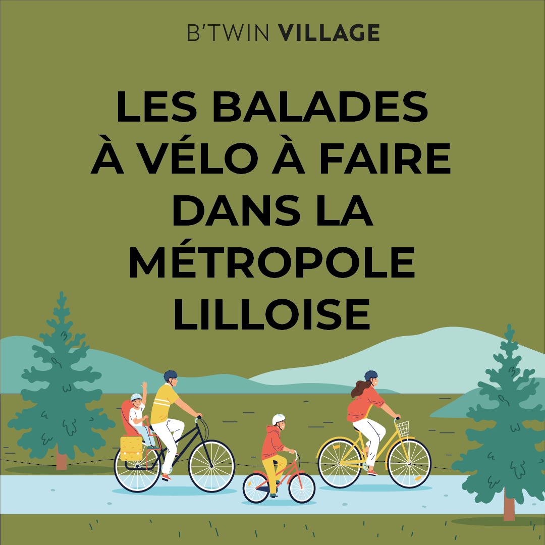Plan de travail 1