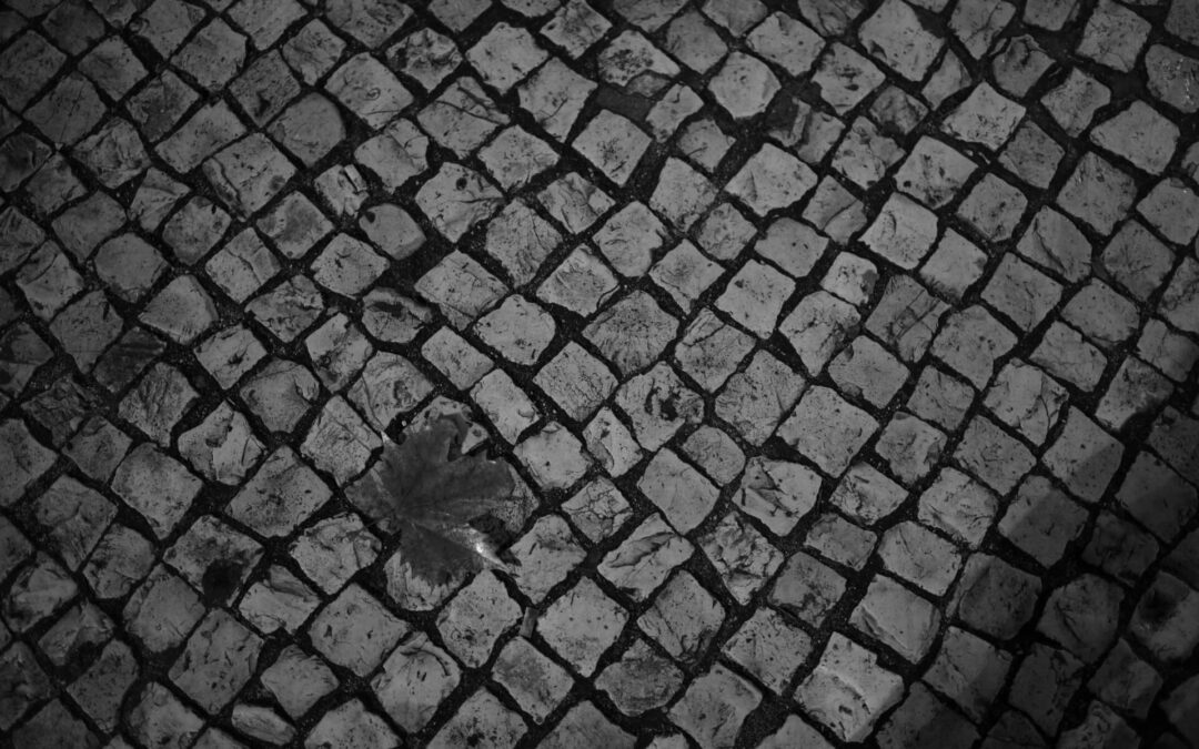 back_pave_BTV